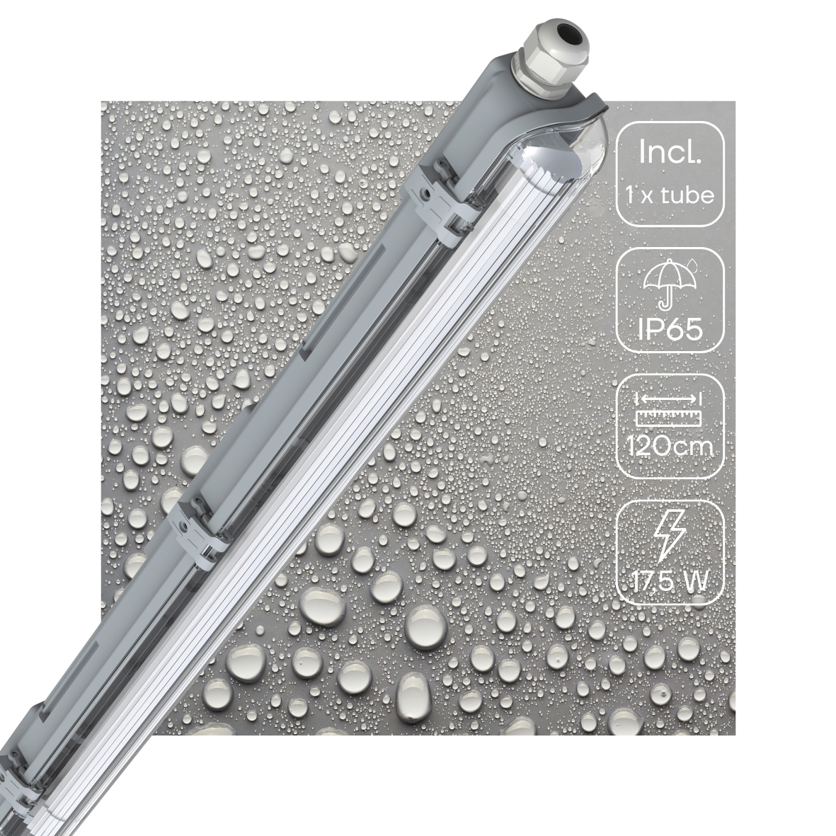 LED's Light LED TL armatuur 120 cm compleet met LED TL buis - 2160lm - 4000K - IP65 TL verlichting LED.nl