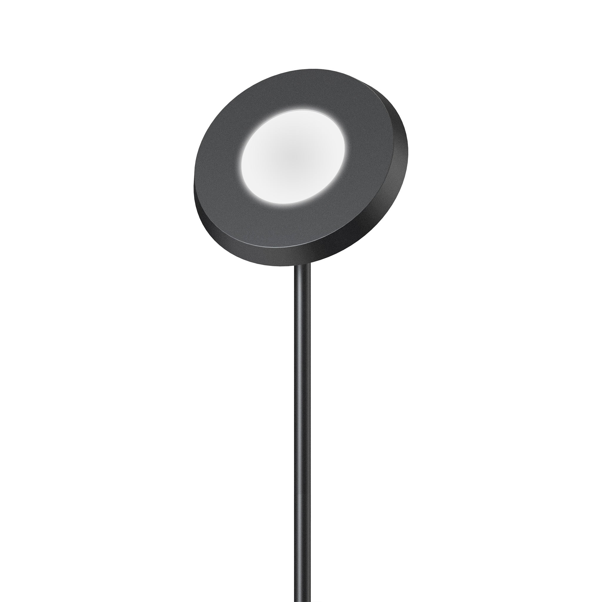 Ambient LED Vloerlamp - White & Color - Schijnt naar beneden en boven - Bedienbaar met App Vloerlampen Led.nl