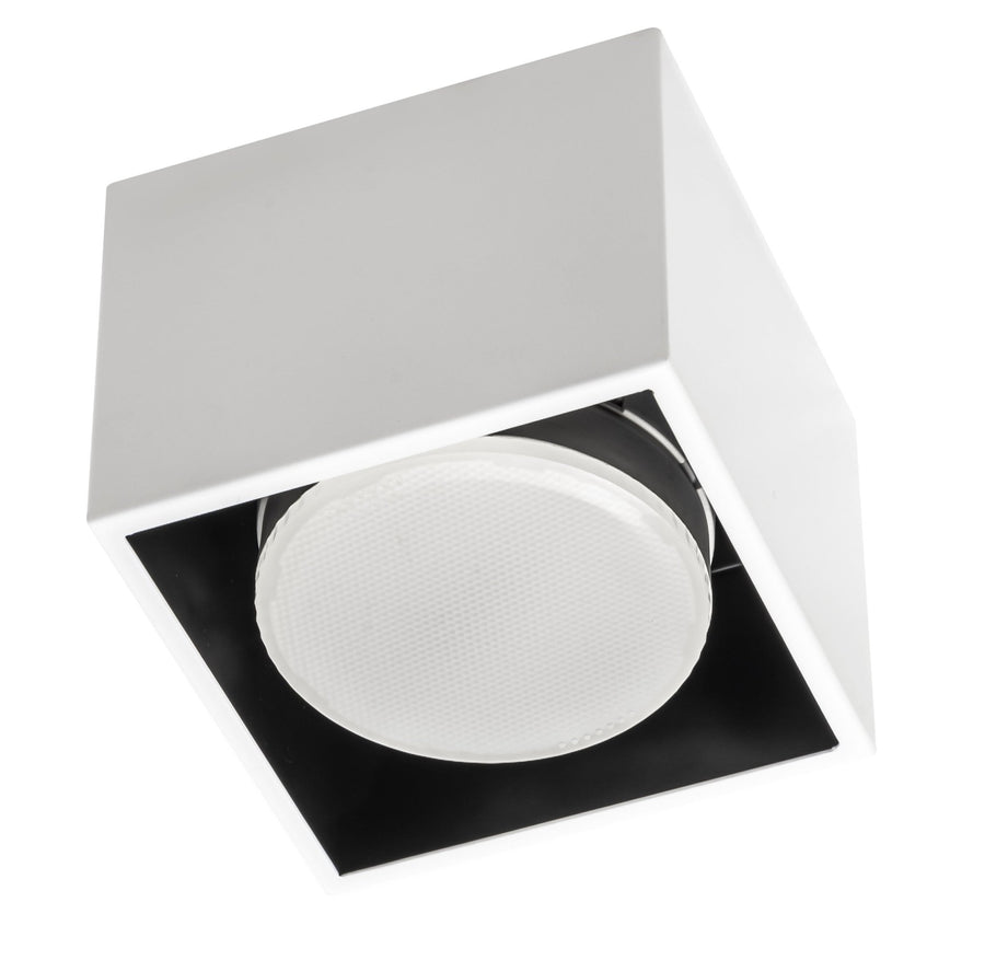 LED's Light Cube LED Plafondlamp - 1 lichtpunt - Draaibaar licht - Staal - 10 x 8 cm - Wit Plafondlampen LED.nl