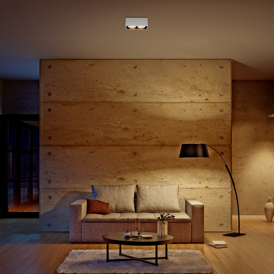 LED's Light Cube LED Plafondlamp - 2 lichtpunten - Draaibaar licht - Staal - 20 x 8 cm - Wit Plafondlampen LED.nl