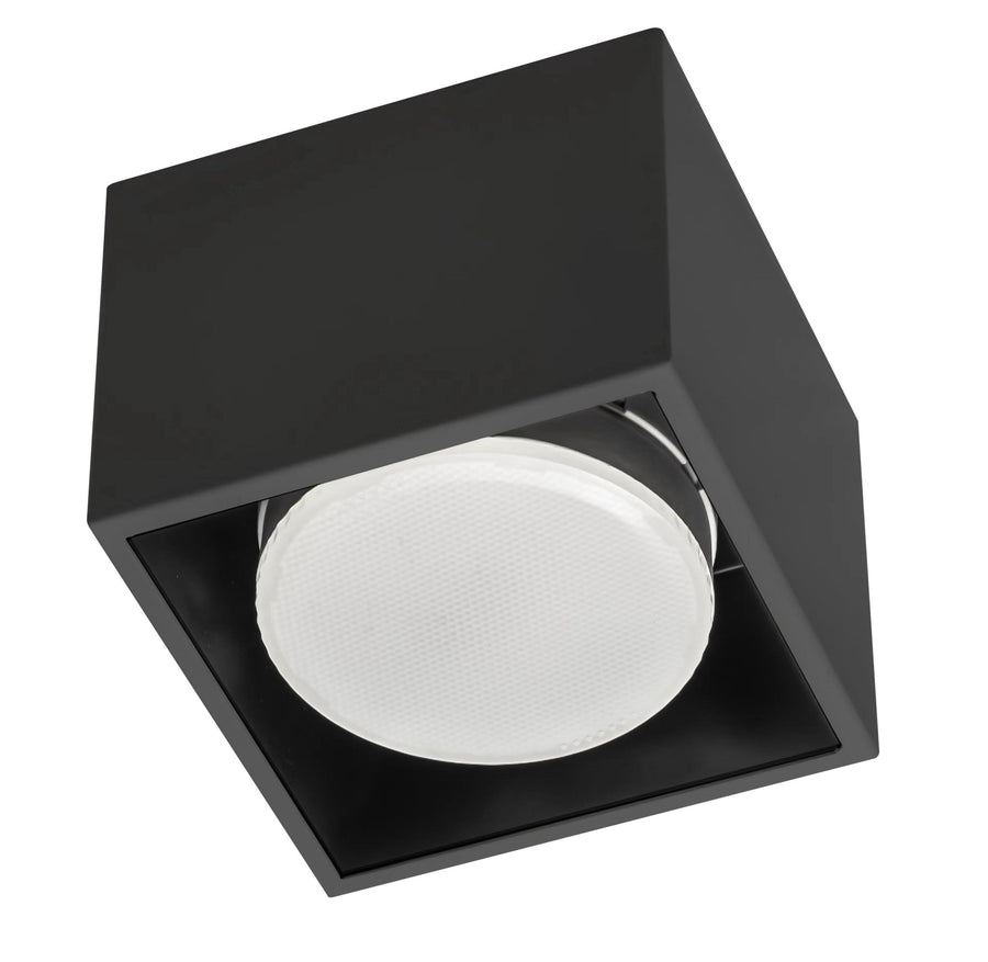 Cube Plafonniere met 1 lichtpunt - Draaibaar licht - Staal - 10 x 8 cm - Zwart Plafondlampen LED.nl