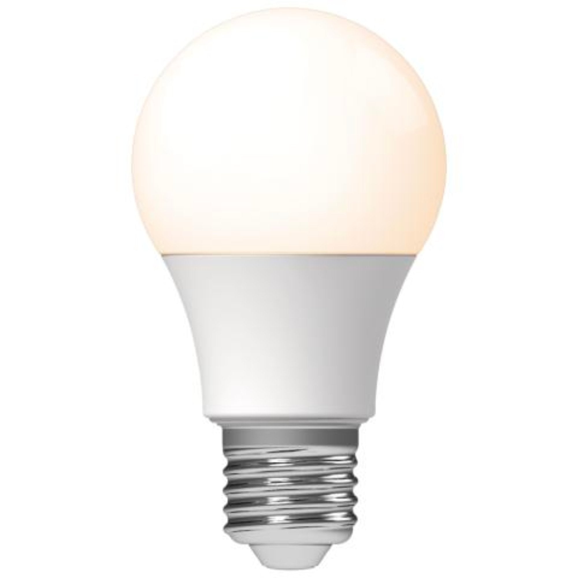 LED lampen met grote E27 fitting - Warm wit licht - 8W/60W - 3PACK Lichtbronnen LED.nl