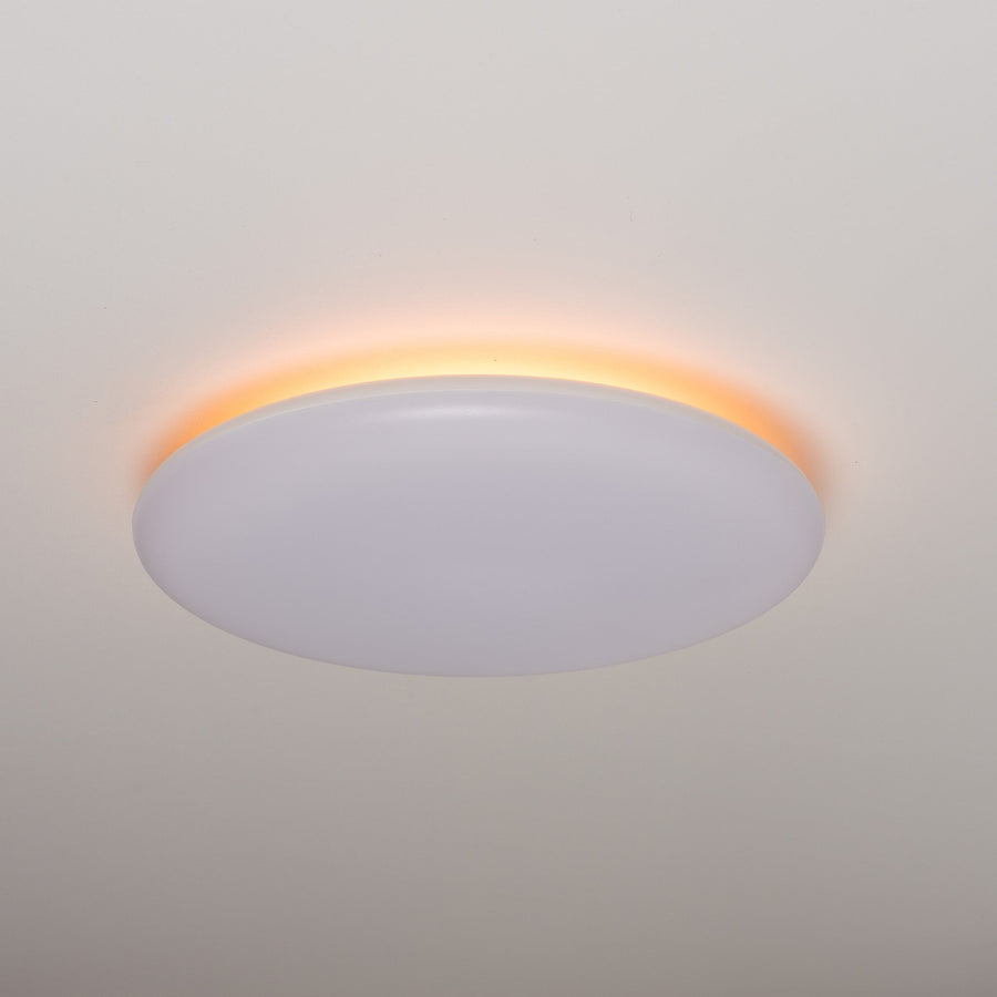 LED.nl Dimbare LED Plafondlamp _ 35 cm - Dimbaar in 8 standen - Warm wit plafonniere Plafondlampen LED.nl