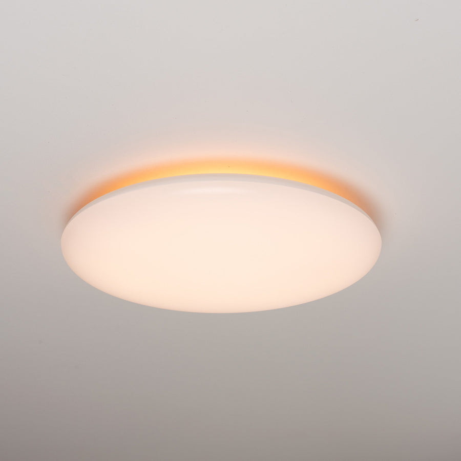 LED.nl Dimbare LED Plafondlamp _ 35 cm - Dimbaar in 8 standen - Warm wit plafonniere Plafondlampen LED.nl